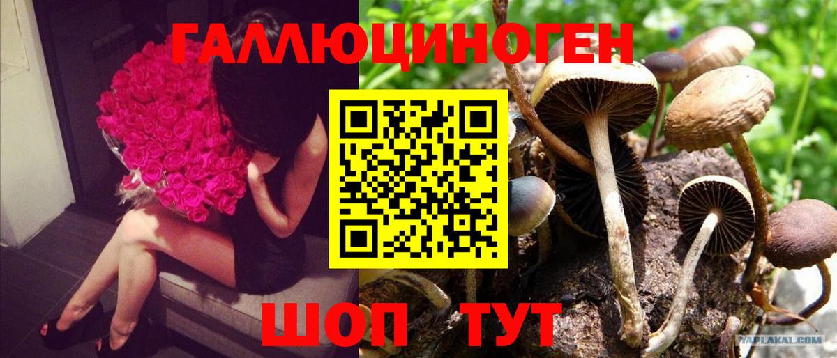 Галлюциногенные грибы ЛСД  Вход с VPN  Галлюциногенные грибы ЛСД  где найти   Кулебаки 
