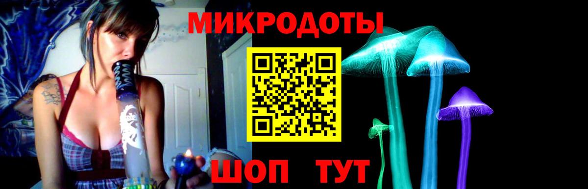 Галлюциногенные грибы Cubensis Кулебаки